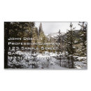 Buscar invierno tarjetas de visita General y unisex