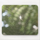 Buscar arácnidos alfombrillas de raton Arañas