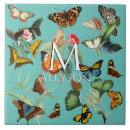 Buscar mariposa linda azulejos Para ella