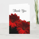 Buscar margarita del gerbera tarjetas General y unisex