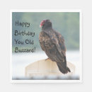 Buscar buzzard Vida silvestre