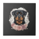 Buscar rottweiler azulejos Animal