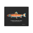 Buscar trucha arte Garganta