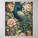 Buscar flor de pavo real posters General y unisex