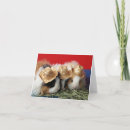 Buscar cavy tarjetas Lindo
