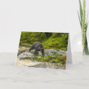 Buscar gordon tarjetas Caza