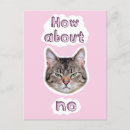 Buscar gato enojado postales Molesto