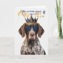 Buscar rey de perros Amante del perro