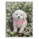 Buscar perritos libretas Flores