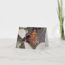 Buscar cambio de la vida tarjetas Mariposa