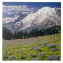 Buscar flor nacional azulejos Paisaje