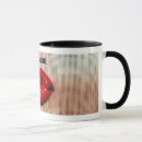 Buscar sensual tazas Amor