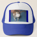 Buscar peludo camionero gorras Animales