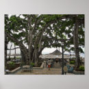 Buscar baniano Honolulu