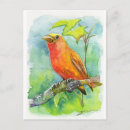 Buscar bird postales Naranja