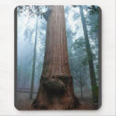 Buscar gigante alfombrillas de raton California