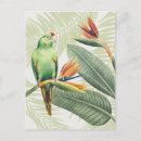 Buscar pájaro verde postales Follaje