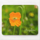 Buscar foto la flor de alfombrillas de raton General y unisex