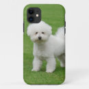 Buscar bichon frise iphone fundas Para todos