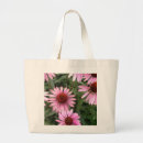 Buscar echinacea Equinácea