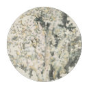 Buscar antigua tablas cortar Océano