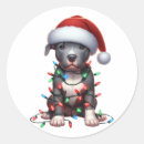 Buscar bulldog americano pegatinas Amante del perro