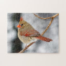 Buscar miembros puzzles Pájaro