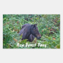 Buscar caballos salvajes pegatinas Amante de los caballos