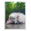 Buscar de gatos libretas Humor