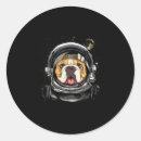 Buscar bulldog americano pegatinas Mastiff en inglés