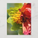 Buscar photography invitaciones Para todos