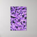 Buscar flores violetas lienzos Para ella