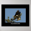 Buscar tetas posters Pájaros