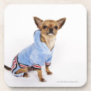 Buscar chihuahua posavasos Pequeña empresa