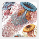 Buscar medusa pegatinas Para todos