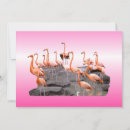 Buscar flamingo invitaciones Aves tropicales