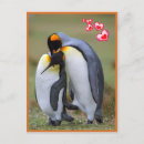 Buscar pingüinos postales Amor