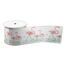 Buscar aves cintas Flamingo