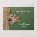 Buscar mariposa marrón postales Para todos