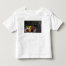 Buscar brescia camisetas Local