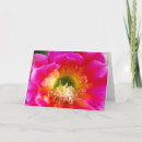 Buscar macro tarjetas Para ella