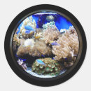 Buscar agua salada pegatinas Azul