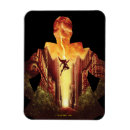 Buscar warner bros imanes Shazam