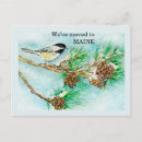 Buscar flor de estado de maine postales Acuarela