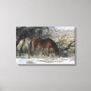 Buscar mustang lienzos Horse