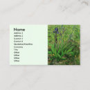 Buscar vincent tarjetas de visita Iris