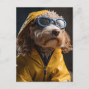 Buscar impermeable postales Contenido generativo