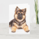 Buscar mutt tarjetas Animal
