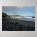 Buscar rugosa posters Costa