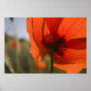 Buscar eggers de terry posters Color brillante